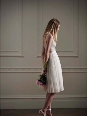 Needle & Thread BHLDN Coppelia Ballet Dress Nude Pink Beaded Tulle 2015 Sz 2